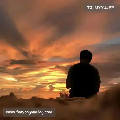 惠月泽